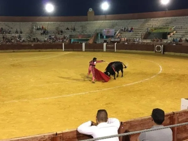 Ahora las plazas de toros se transformarán en plazas de mercados, “habrá alimento para la vida”