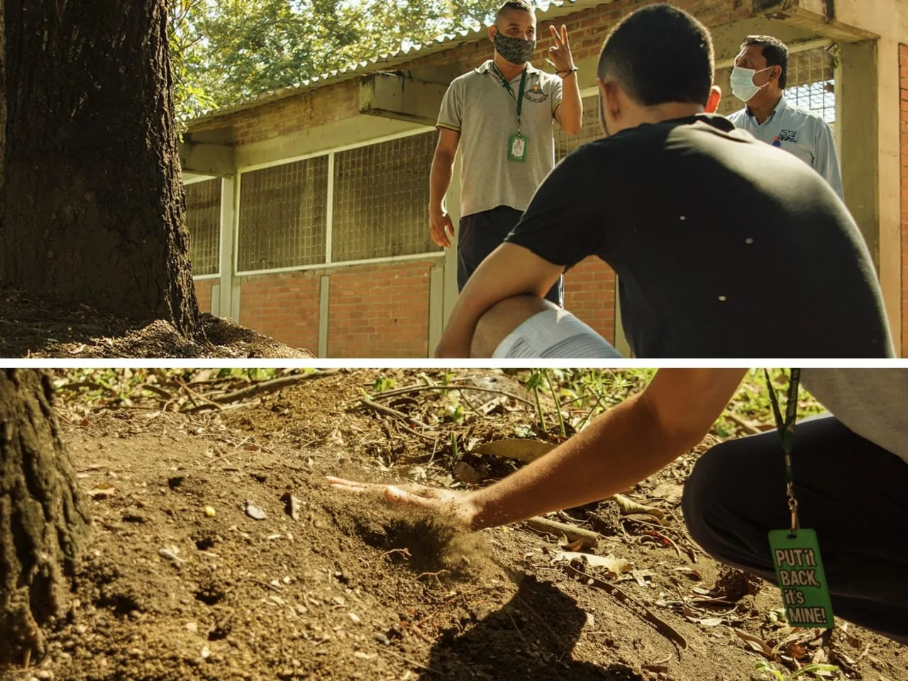 Conciencia ambiental