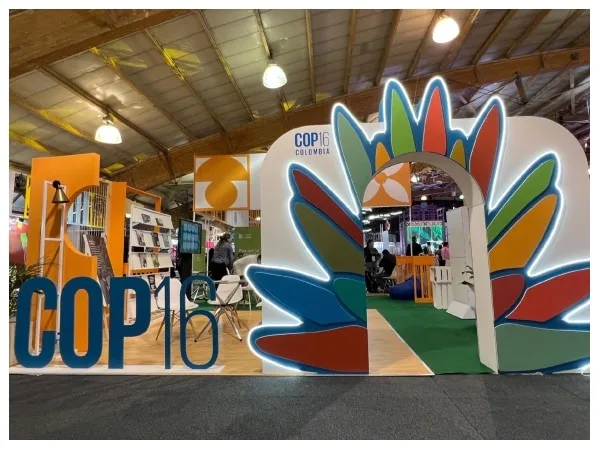 Foto tomada del Ministerio de Medio Ambiente