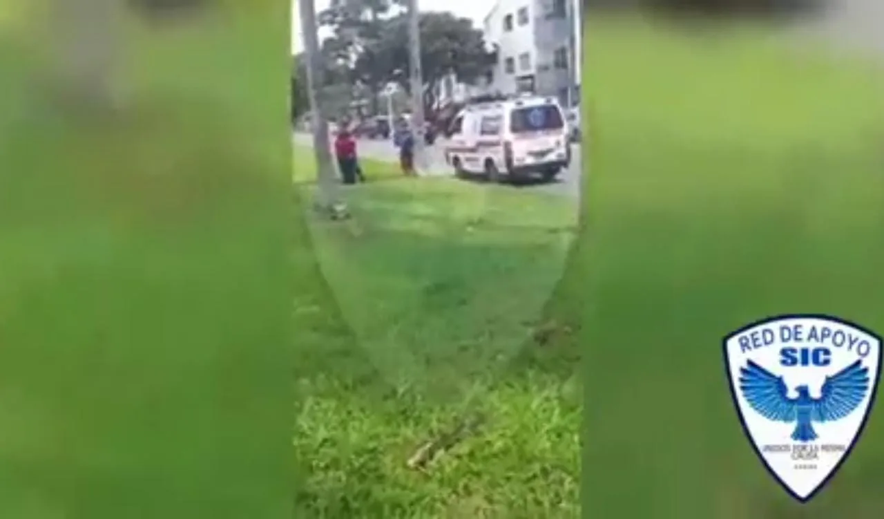 un ladrón de