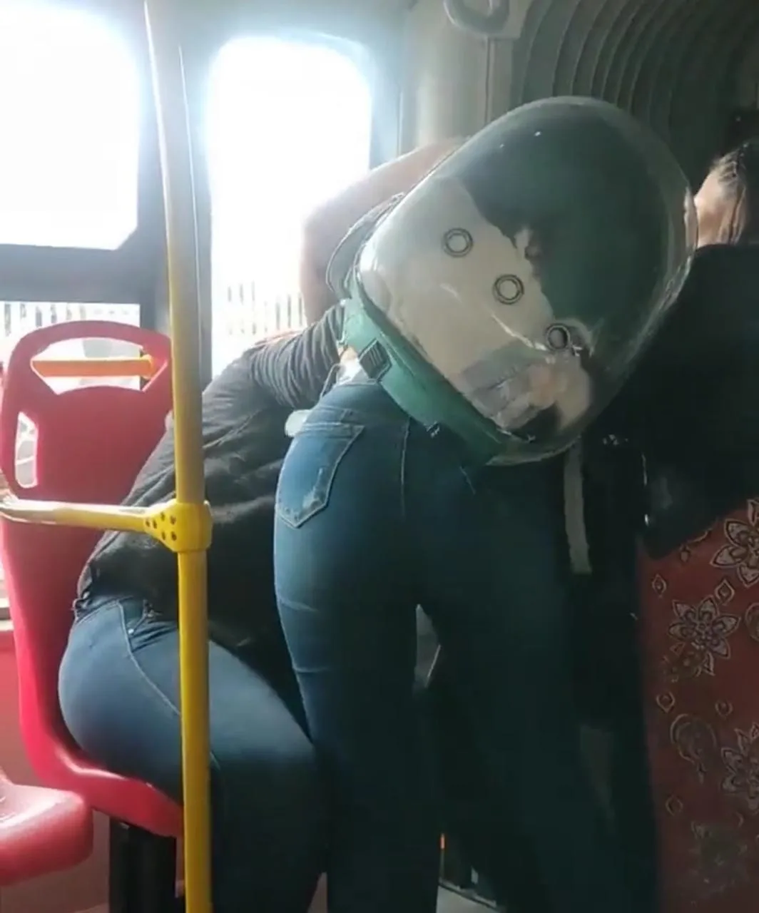 Transmilenio gato pelea mujeres