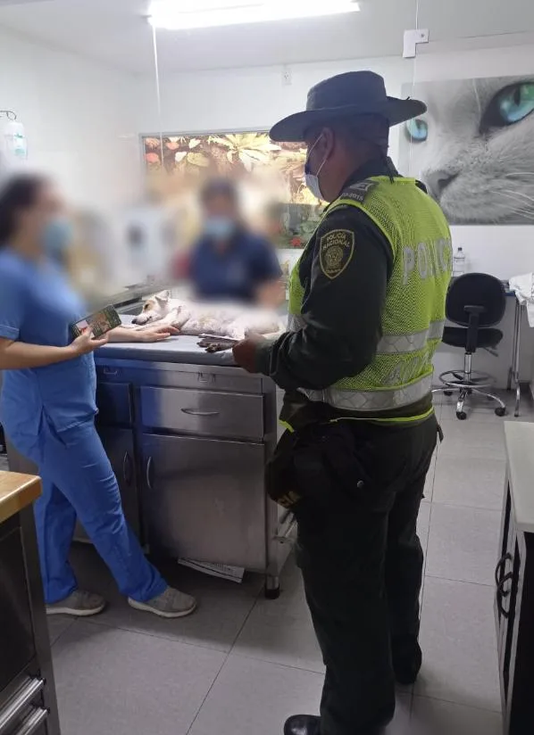 ¿Acto de intolerancia? perro recibió disparo de un vecino que lo agredió porque ladraba mucho