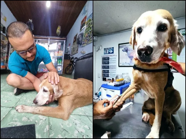"La rescaté, pero más ella a mí" y "quiero darlo todo por su bienestar": Juan sobre su perrita Katy y grave estado de salud