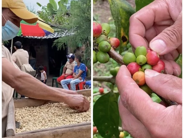 'El Campo Emprende'