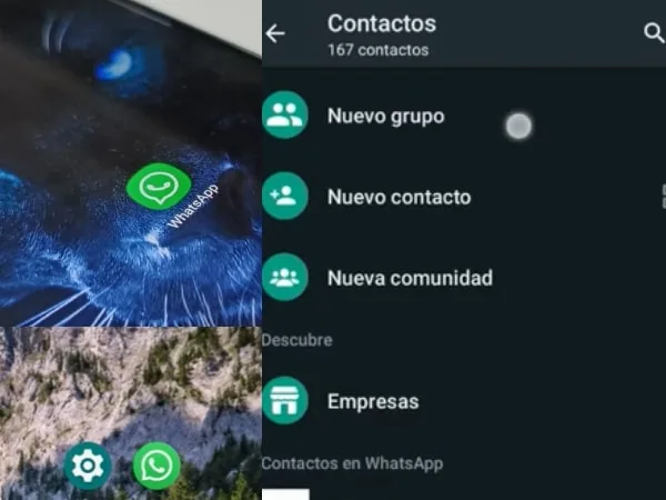 Los grupos de WhatsApp más extraños que existen: desde avistamientos de ovnis hasta fans de la Cerveza