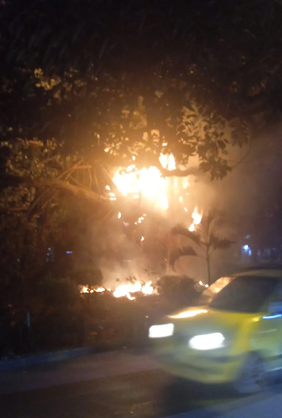 Otra Ceiba a la que le metieron candela en Cali Foto: vía @FrancyRestrepo