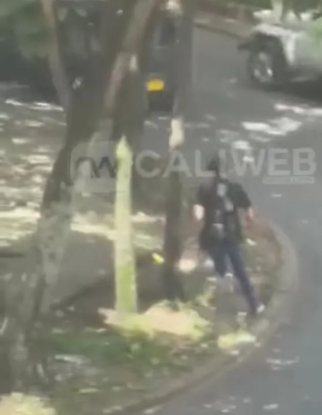 norte de Cali ladrón carros