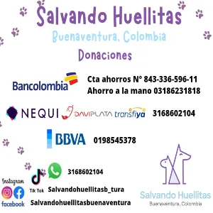 Buenaventura