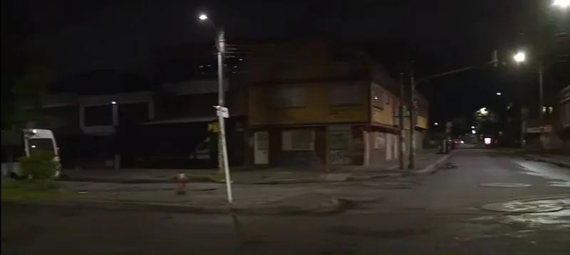 de perros