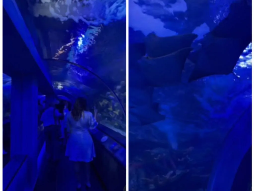 El acuario submarino que ya abrió al público en el Rodadero en Santa Marta