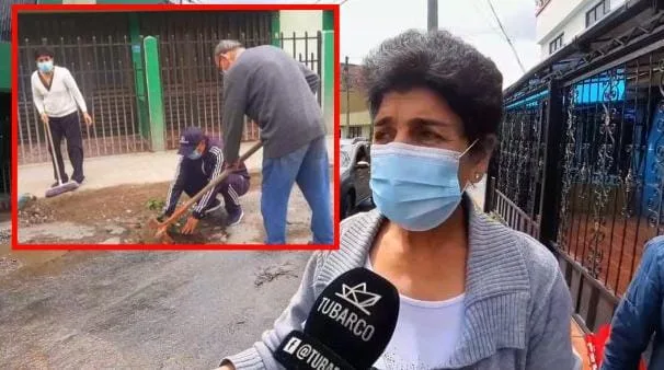 sembraron árboles en los huecos