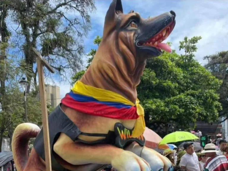 No va más: Ejército "terminó la búsqueda oficial" de Wilson