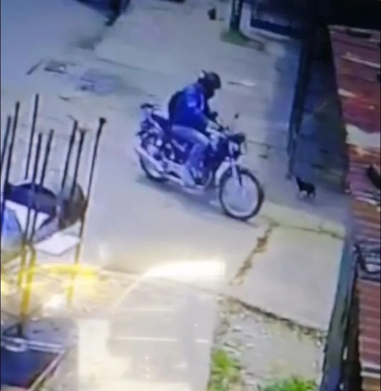 En Cali piden a motorizado que encontró a la perra Luna, "que la devuelva hay recompensa"