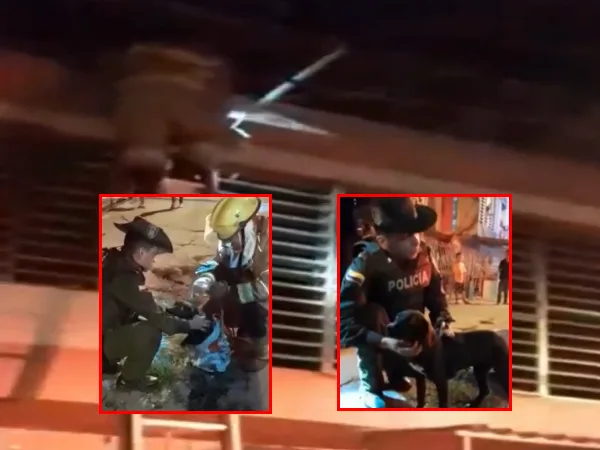 "Se estaba ahorcando con la soga": A 'Niquita' la dejaron amarrada en el balcón durante 20 días en Tuluá