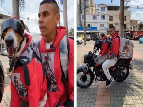 Domiciliario entrega pedidos con su perro en Cali.