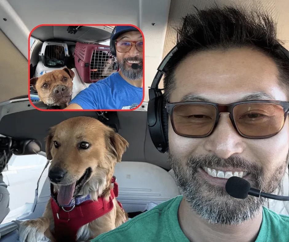 Seuk Kim, el piloto que voló para salvar la vida de cientos de animales, murió en un trágico accidente