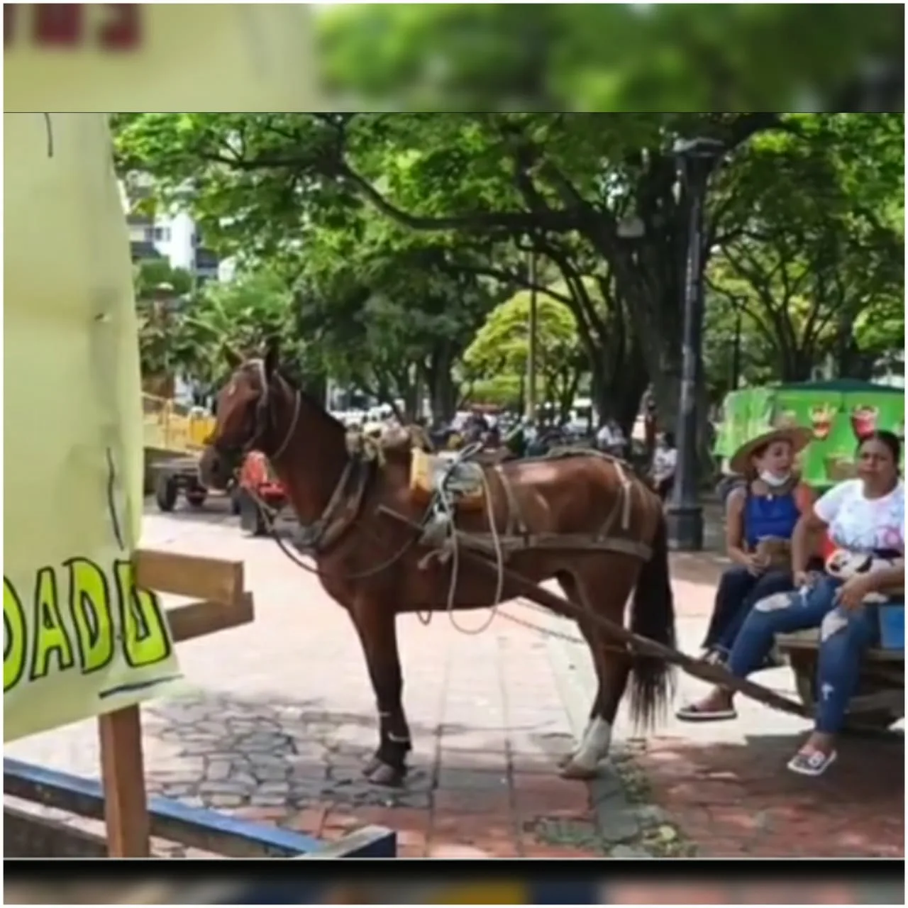 carretillas Cali