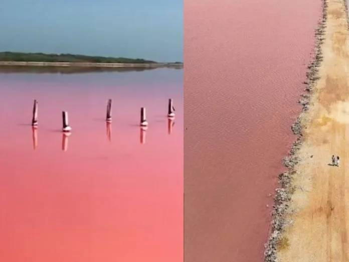 ¿Qué hace especial a Galerazamba la playa rosada en el caribe colombiano?