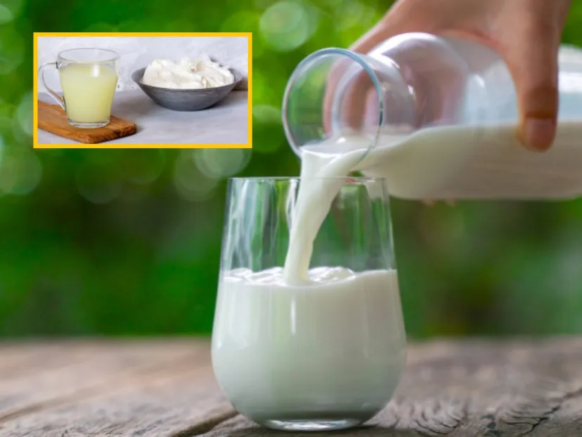 leche con lactosuero en Colombia