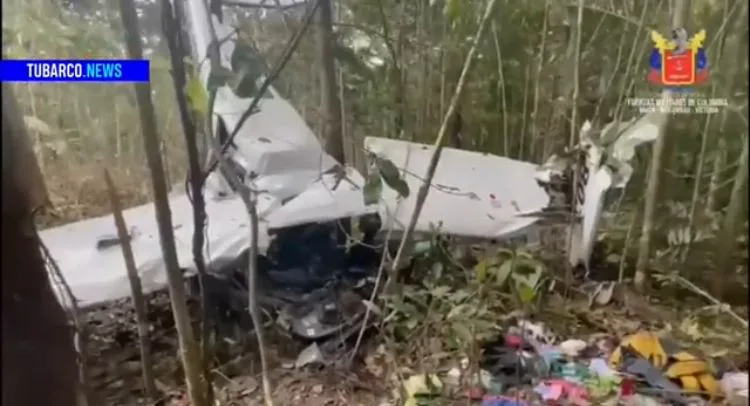 Niños del Guaviare, así fue su búsqueda.