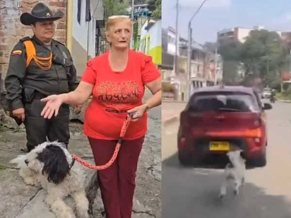 "Copito" no fue abandonado, se habia perdido cuando iban a la procesión en Ibagué