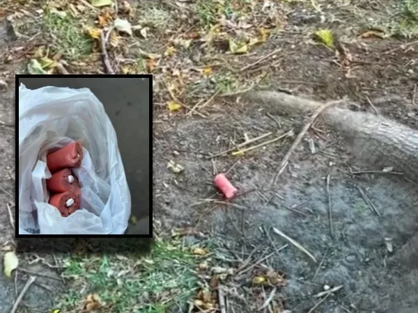 Alertan por "salchichas con pastillas" dejadas en algunos parques y advierten a dueños de perros