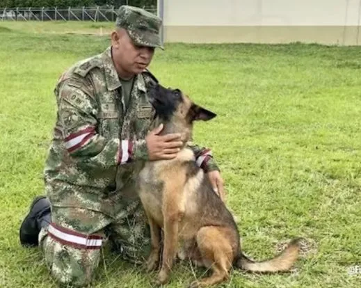 Niños del Guaviare, así fue su búsqueda.