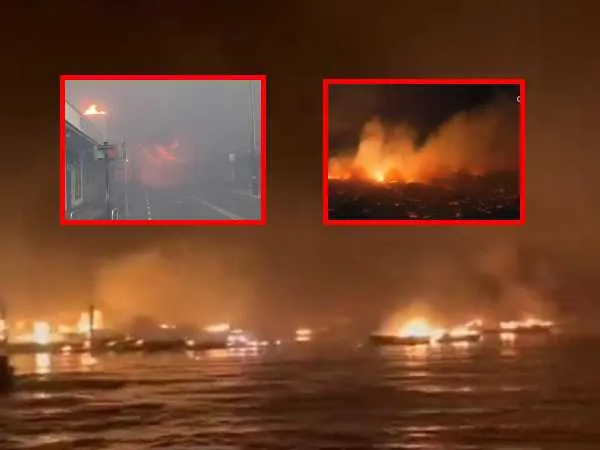 “Casas y comercios calcinados” por incendio en Hawái, van 36 muertos