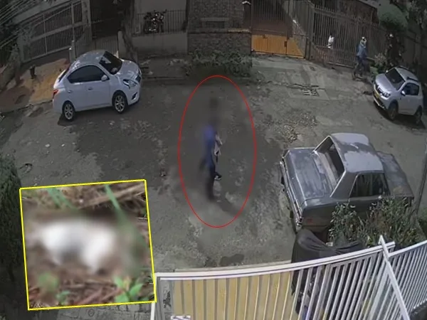 Maltrato animal no para: en Cali graban a sujeto estrangulando a gatica una porque pasaba por su casa