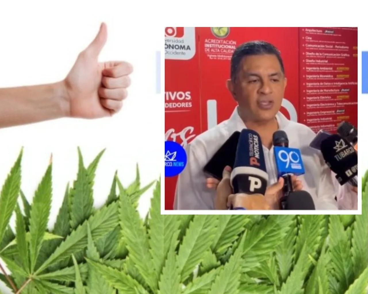 cannabis Cali debate