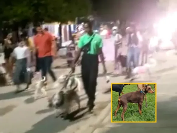 En Ginebra, Valle del Cauca macharon por la muerte de Coffee y denuncian que el maltrato animal en el municipio va en aumento