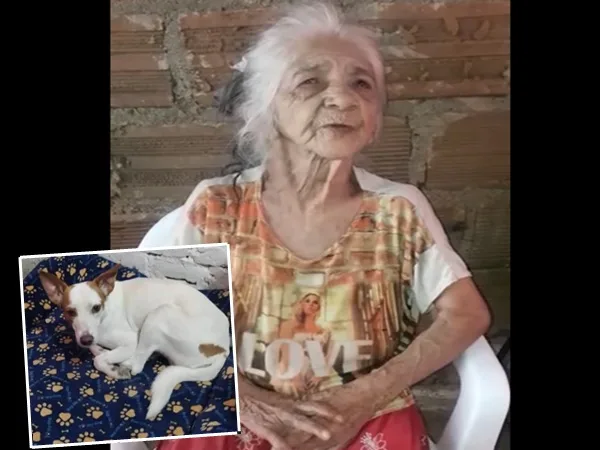 En Cali, adulta mayor lleva tres días sin comer luego de perderse Palomo, su perrito de compañía