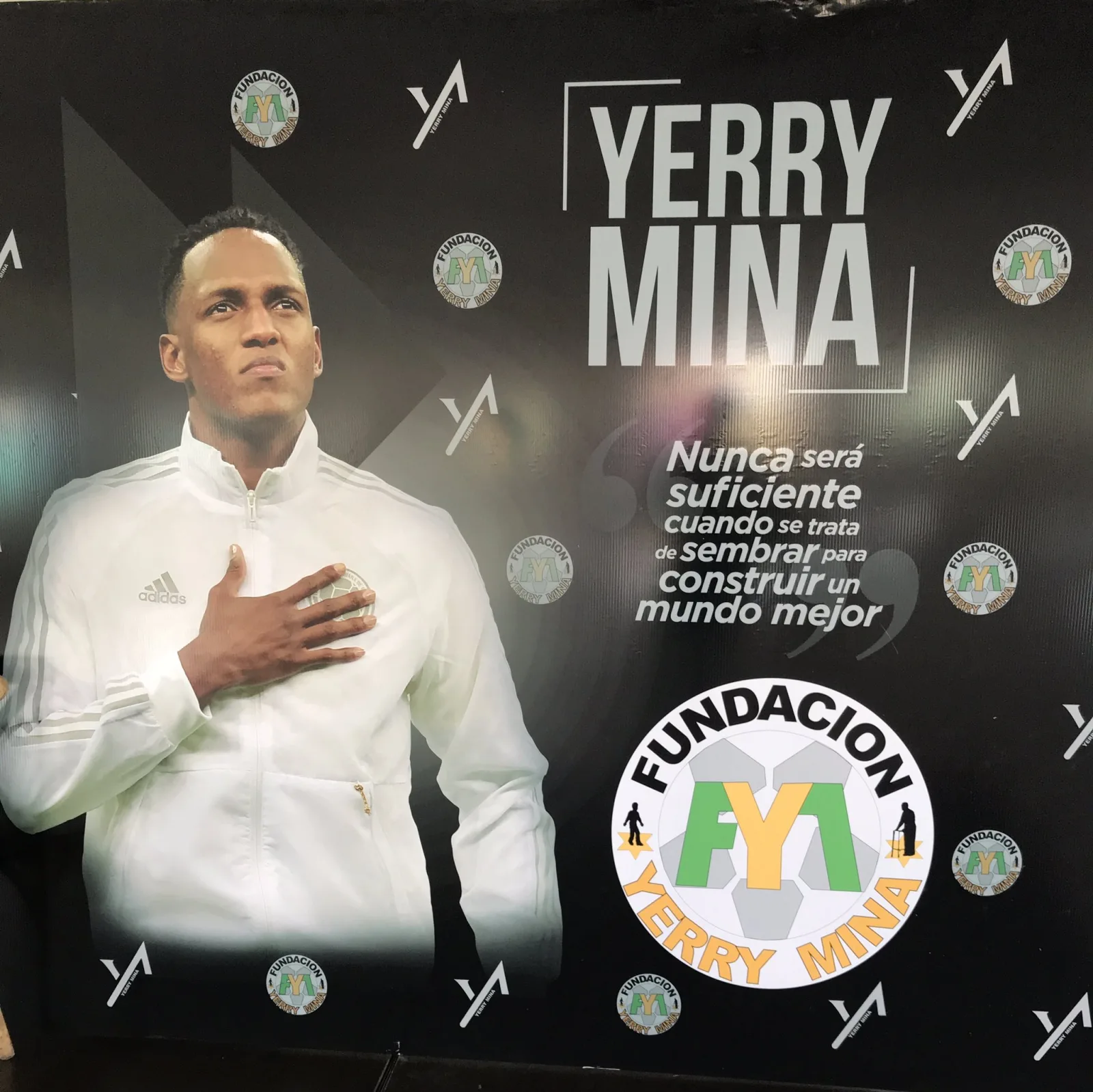 yerri mina