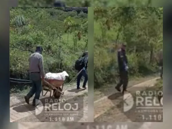 La Reforma Cali cuerpos