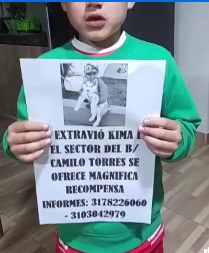 niño en Ipiales busca a asu perra