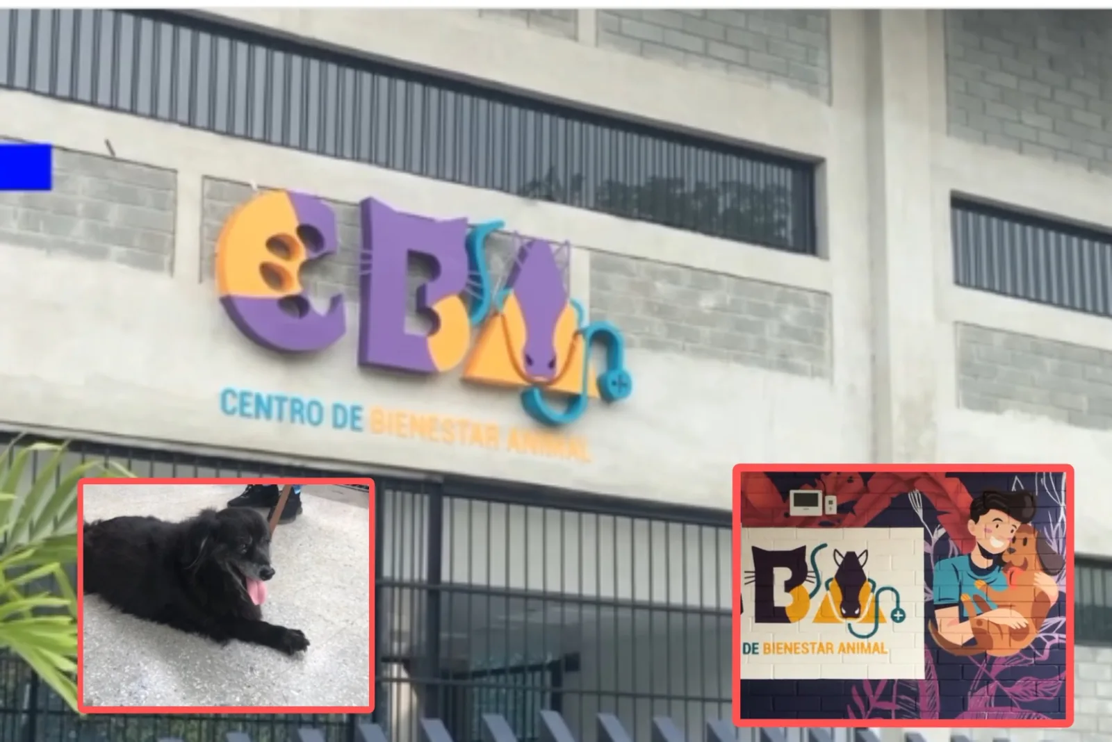 Centro de Bienestar Animal de Cali