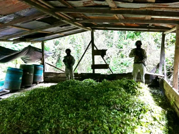 Laboratorio de disidencias que producía más de 2 toneladas de cocaína fue destruido en Nariño