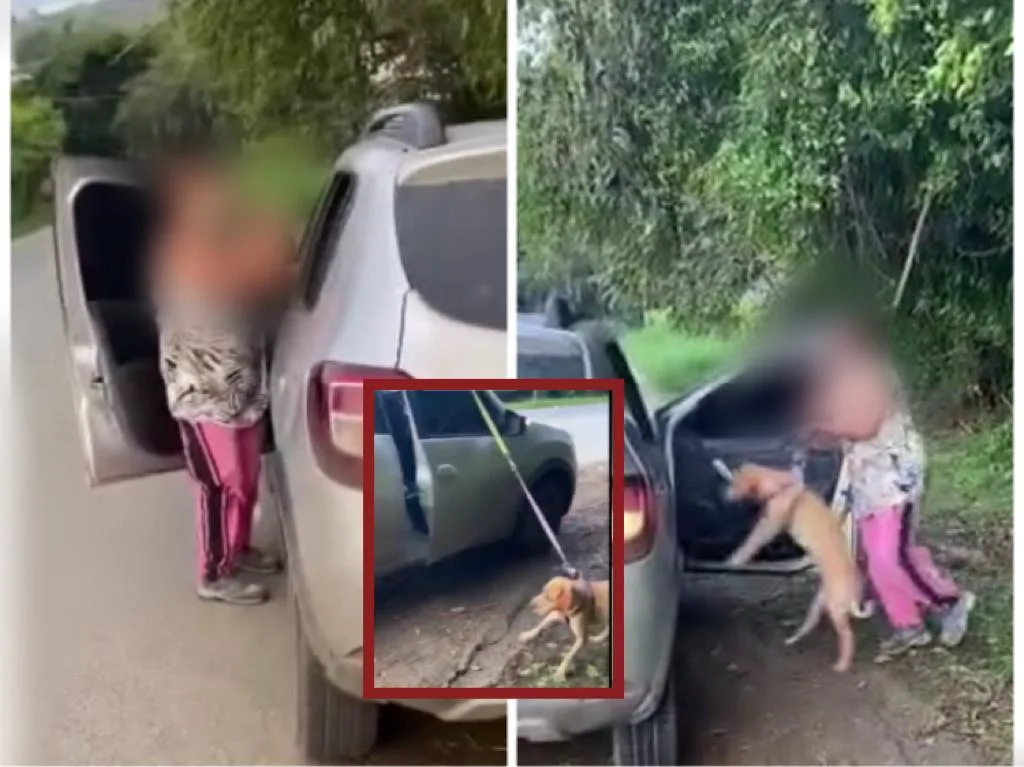 Rechazan maltrato animal: mujer amarró su perro al carro y lo llevaba arrastrando por vías del Valle