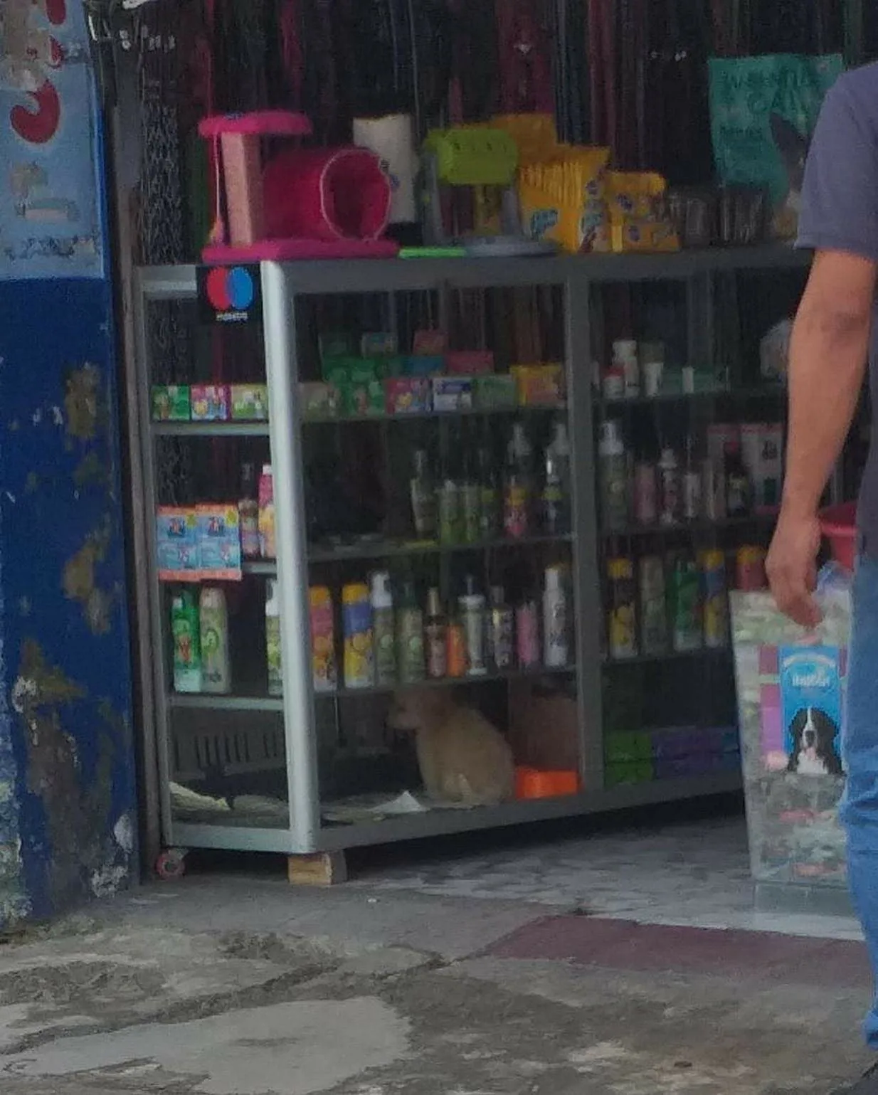 en palmira