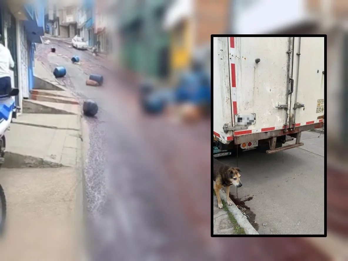 Con pimpinas y tremendo reguero quedó una calle en Pasto; a carro que llevaba restos de carne se le abrieron las puertas
