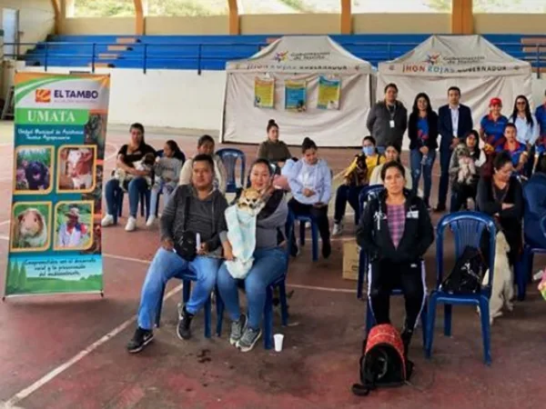 Para contrarrestar el maltrato y abandono animal esterilizaron a 300 animales en Nariño