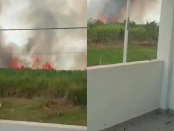 En zonas del Cauca y del valle persisten quemas de Caña