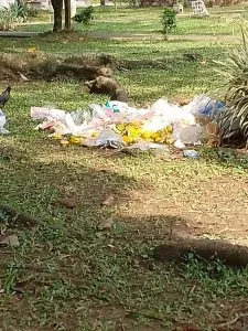 De ser un barrio referente deportivo y eventos culturales, ahora, basuras y desorden al rededor