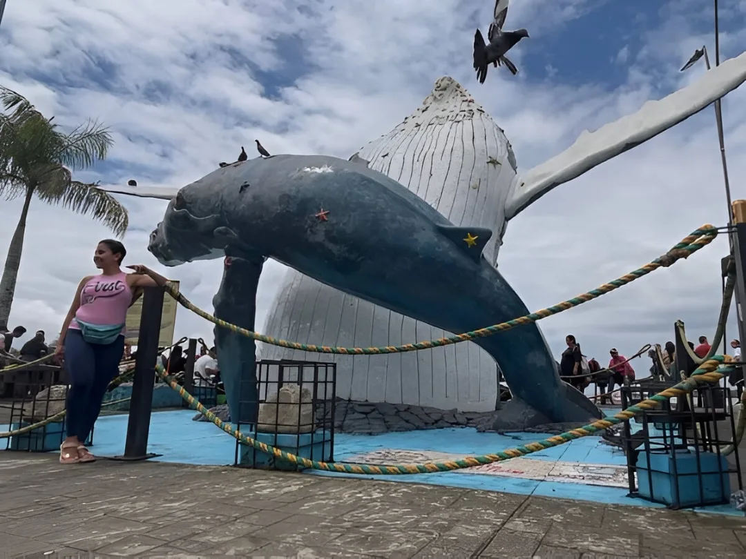 La temporada de ballenas no es solo un espectáculo natural: es una pausa en la monotonía, una promesa de vida que recuerda que incluso en este rincón olvidado del Pacífico, la naturaleza sigue dictando el calendario.