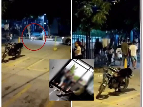perro herido y perseguido en Santa Marta