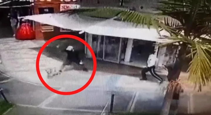 En medio de una pelea, sujeto le causo heridas de gravedad con un machete a un perro en Popayán