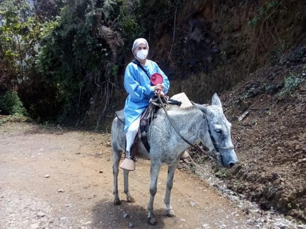 en burra a vacunarAranzazu