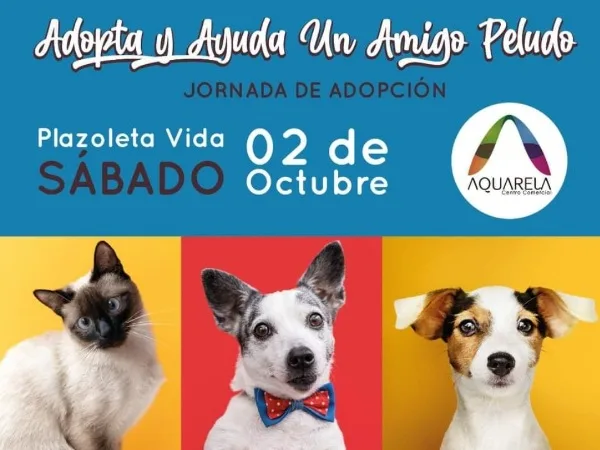 El refugio Ángeles protectores invita a la jornada de adopción y recolección de ayudas el próximo 2 de octubre en el centro comercial Aquarela