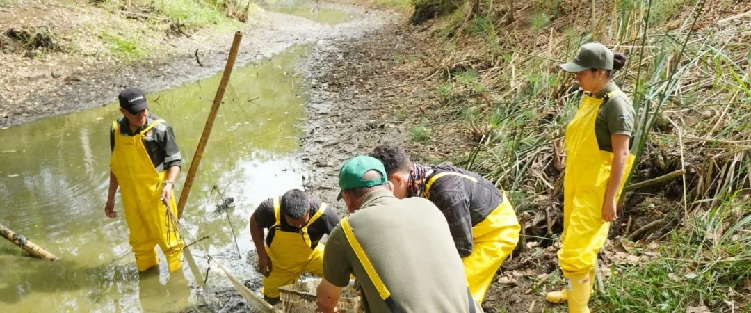 Humedal El Limonar Cali durante las labores de recuperación del nivel del agua.
