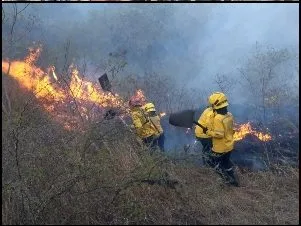 los bomberos